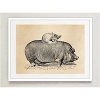 Fuchs Und Schwein Vintage Print Collage Poster von Erbsenbeetdesign