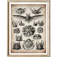 Vintage Print Fledermäuse Poster Lexikon Wanddekoration Whimsigoth Whimsigothic Badezimmerdeko Bad Badezimmer Deko von Erbsenbeetdesign