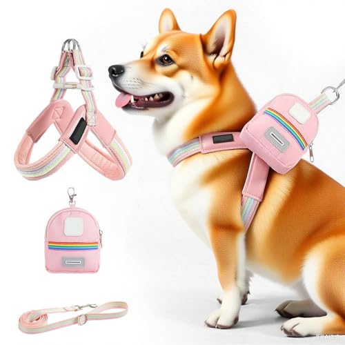 Erconsso Hundegeschirr Gurt | Verstellbares Geschirr Für Kleine Hunde,Praktische Aufbewahrungstasche Antidreh-Ausrüstung Für Spaziergänge Wanderungen Park Camping von Erconsso