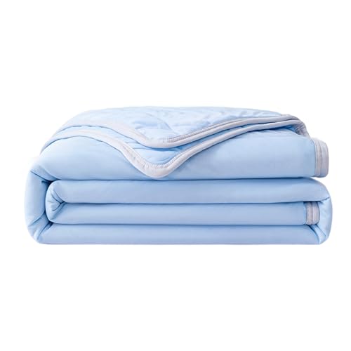 Erconsso Kühldecke - Doppelseitig Kühlende Decke Für Sommer - Atmungsaktive Steppdecke für Bett Schlafzimmer Erwachsene Couch Camping Reise Wohnung von Erconsso