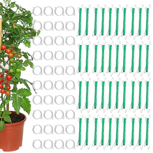 Erconsso Tomaten-Rebenhaken, Garten-Kletter-Tomatenhaken mit Schnur, 40 Stück Befestigungselemente für Pflanzenstängel mit 40 Clips für Urbane Landwirtschaft Freiland-Gemüsebeet Obstgarten Erconsso Tomaten-Rebenhaken, Garten-Kletter-Tomatenhaken mit Schnur, 40 Stück Befestigungselemente für Pflanzenstängel mit 40 Clips für Urbane Landwirtschaft Freiland-Gemüsebeet Obstgarten von Erconsso