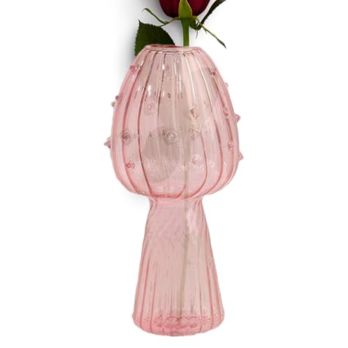Erconsso Vasen Für Blumen | Dekorative Pflanzenvermehrung Vasen - Ästhetische Tischdekoration Für Fensterbank Wohnzimmer Schlafzimmer Esstisch Party Büro Landhausstil Erconsso Vasen Für Blumen | Dekorative Pflanzenvermehrung Vasen - Ästhetische Tischdekoration Für Fensterbank Wohnzimmer Schlafzimmer Esstisch Party Büro Landhausstil von Erconsso