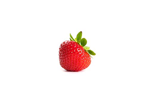10 Sonsation Erdbeerpflanzen - GigaPlug Pflanzen (extrem gut durchwurzelt) - Pflanzzeit: März/April - Ernte: Juni - Erdbeersetzlinge/Erdbeerstecklinge - Erdbeerprofi.de von Erdbeerprofi.de