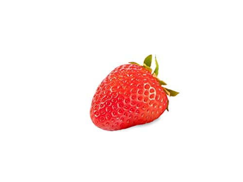 20 Furore Erdbeerpflanzen - Frigo Pflanzen - Immertragend - Pflanzzeit: März/April - Ernte: Juni bis September - Erdbeersetzlinge/Erdbeerstecklinge - Erdbeeren von Erdbeerprofi.de von Erdbeerprofi.de