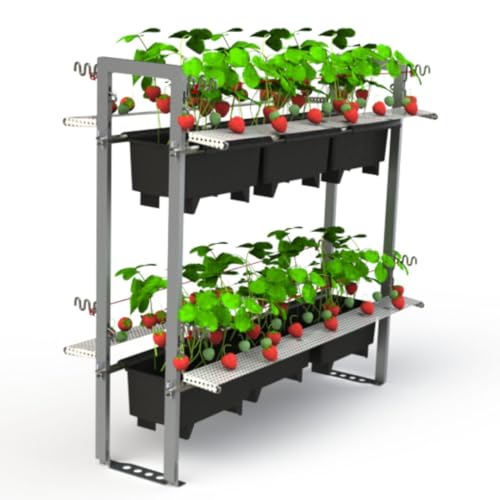 Erdbeerprofi - BerryRack Basisset und Pflanzkästen - vertikaler Erdbeergarten - Gestell für Erdbeerpflanzen Erdbeerprofi - BerryRack Basisset und Pflanzkästen - vertikaler Erdbeergarten - Gestell für Erdbeerpflanzen von Erdbeerprofi.de