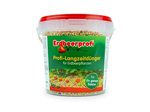 Erdbeerprofi - Dünger für Erdbeeren (1000 g) - Langzeitdünger für Erdbeerpflanzen - Erdbeerendünger - Düngemittel für Erdbeeren von Erdbeerprofi.de