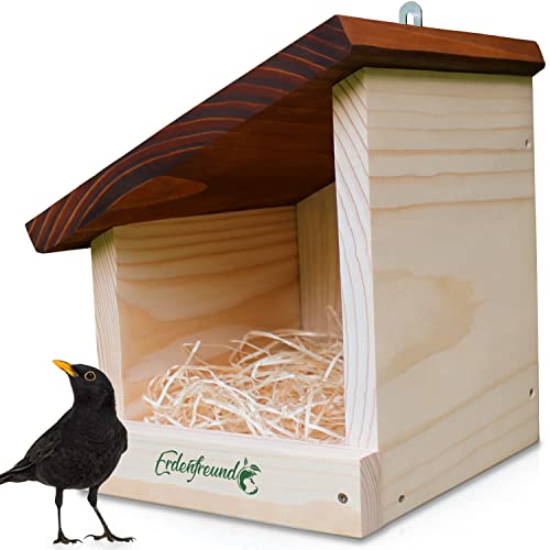 ERDENFREUND® Amsel Nistkasten halboffen extra für Freibrüter/Halbhöhlenbrüter Nistkasten Amsel artgerechte Halbhöhle langlebig aus 2 cm FSC-Massivholz (Amselhaus modern artgerecht) von Erdenfreund