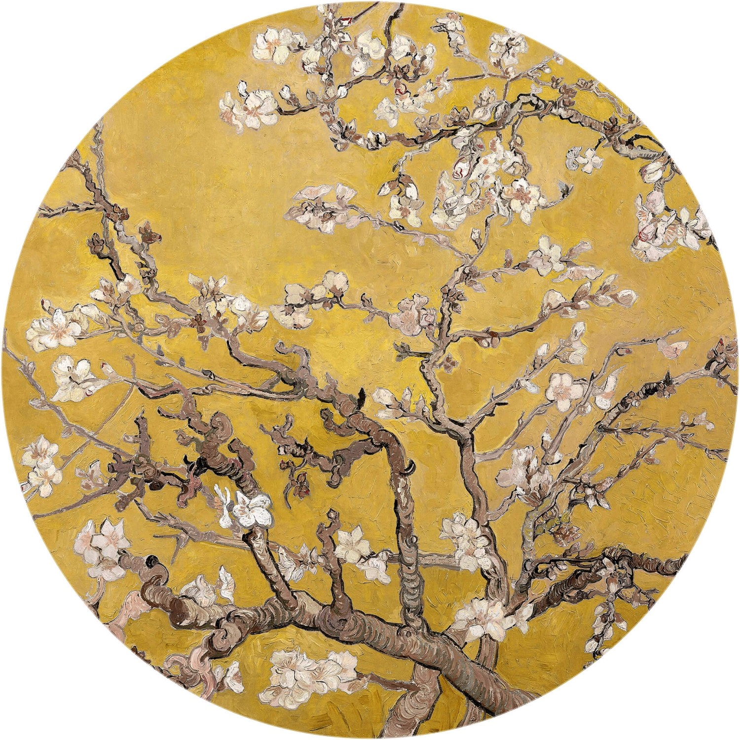 Erfurt Fototapete Vlies Almond Blossom Van Gogh Ochre Ø 140 cm von Erfurt