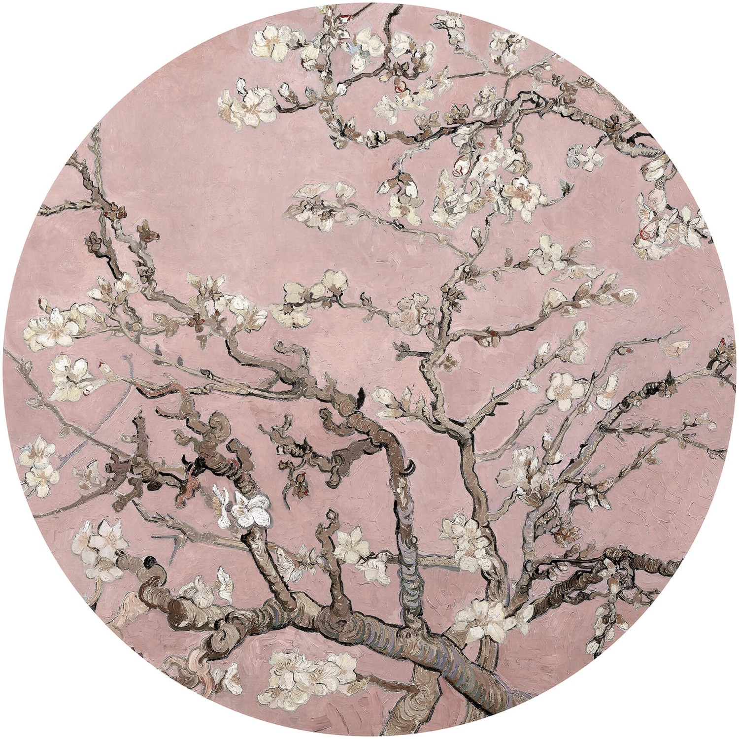 Erfurt Fototapete Vlies Almond Blossom Van Gogh Rosé Ø 236 cm von Erfurt