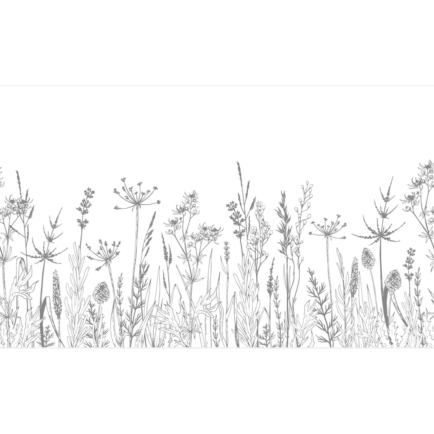 Erfurt Fototapete Vlies Blumenwiese Illustration Schwarz-Weiß 192 cm x 260 cm von Erfurt