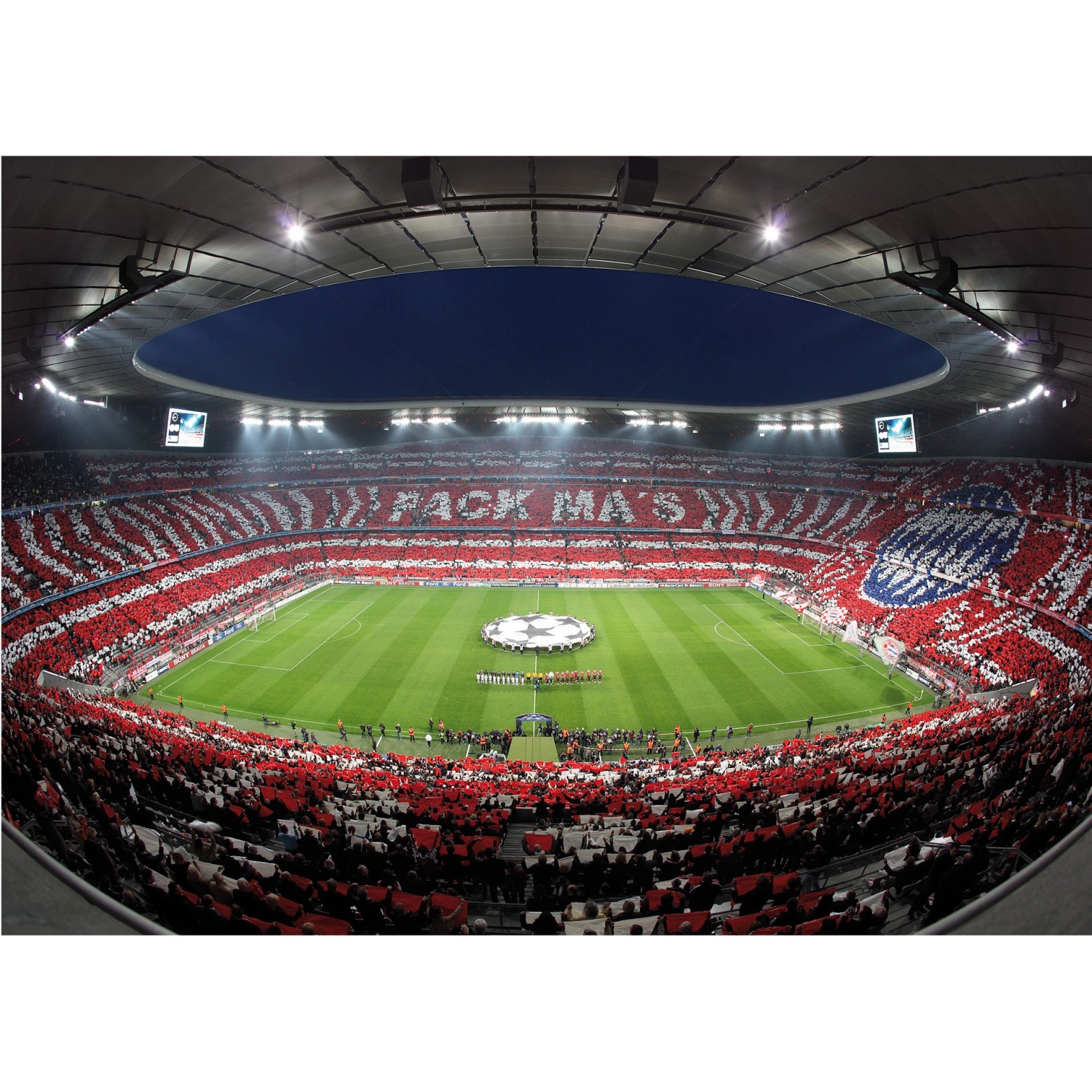 Erfurt Fototapete Vlies FC Bayern Pack Mas 432 cm x 300 cm von Erfurt