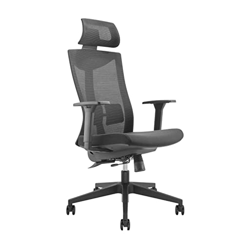 Ergo Office ER-414 Ergonomischer Bürostuhl mit Rädern und Lordosenstütze Drehstuhl Höheverstellbar Neigungsfunktion der Rückenlehne Schreibtischstuhl bis 150kg Belastbar (Bürostuhl) von Ergo Office