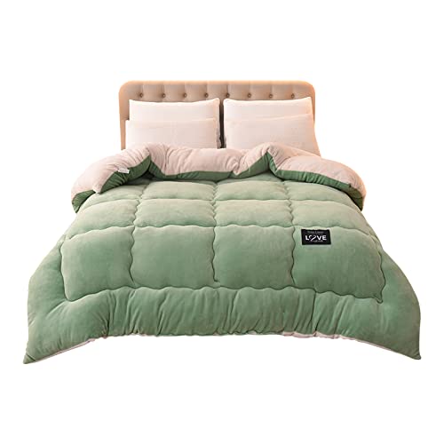 Ergocar Decke, Extra Dick Couchdecke, Flauschig Doppelgesicht Dicke Decke, Weich und Warme Plüsch Sherpa Decke, Flanneldeck für Couch, Stuhl und Bett von Ergocar