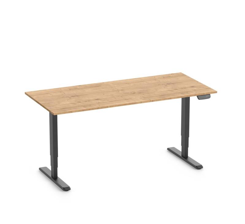 Ergolutions Schreibtisch PRIMUS Speed elektrisch höhenverstellbarer Schreibtisch, 80 kg Traglast / Schnell / Leise / Timer / Memory / Kollisionssensor von Ergolutions