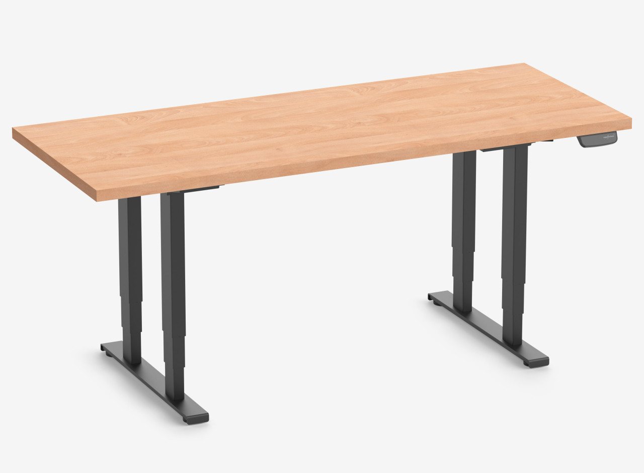 Ergolutions Schreibtisch PRIMUS Schwerlasttisch von Ergolutions