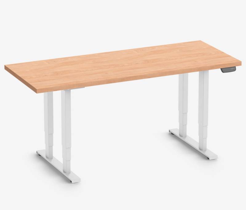 Ergolutions Schreibtisch PRIMUS Schwerlasttisch von Ergolutions