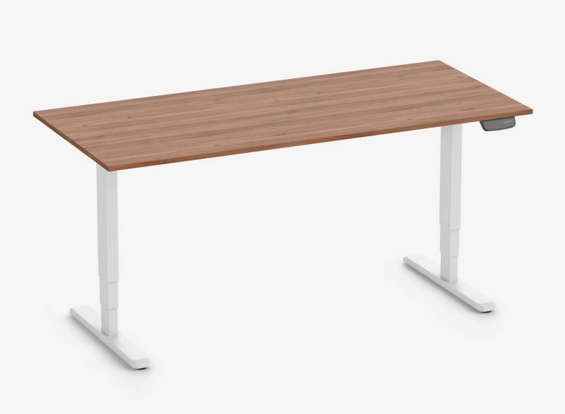 Ergolutions Schreibtisch PRIMUS XL elektrisch höhenverstellbarer Schreibtisch, 140 kg Traglast / App / Leise / Timer / Memory / Kollisionssensor Ergolutions Schreibtisch PRIMUS XL elektrisch höhenverstellbarer Schreibtisch, 140 kg Traglast / App / Leise / Timer / Memory / Kollisionssensor von Ergolutions