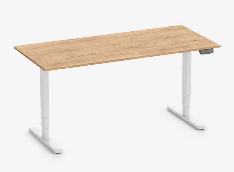 Ergolutions Schreibtisch PRIMUS XL elektrisch höhenverstellbarer Schreibtisch, 140 kg Traglast / App / Leise / Timer / Memory / Kollisionssensor Ergolutions Schreibtisch PRIMUS XL elektrisch höhenverstellbarer Schreibtisch, 140 kg Traglast / App / Leise / Timer / Memory / Kollisionssensor von Ergolutions