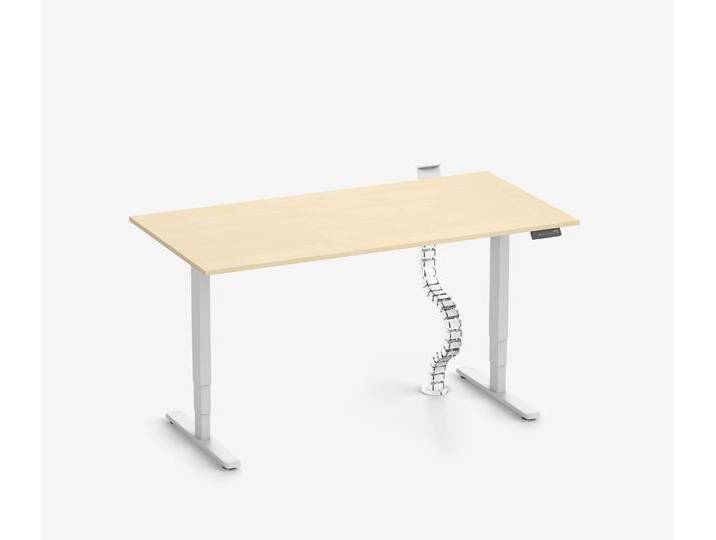 FOKUS Schreibtisch + Steckleistenhalter + Kabelschlange Weiß Birke 160x80 FOKUS Schreibtisch + Steckleistenhalter + Kabelschlange Weiß Birke 160x80 von Ergolutions