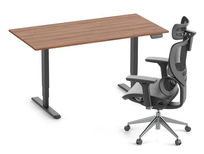 PRIMUS + Stuhl 140x80 Schwarz Nussbaum von Ergolutions