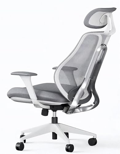 Ergonix® OmniSit Pro 2025 - Bürostuhl Ergonomisch mit Dynamischer Lordosenstütze - Schreibtischstuhl Höhenverstellbar 155-205cm von Ergonix