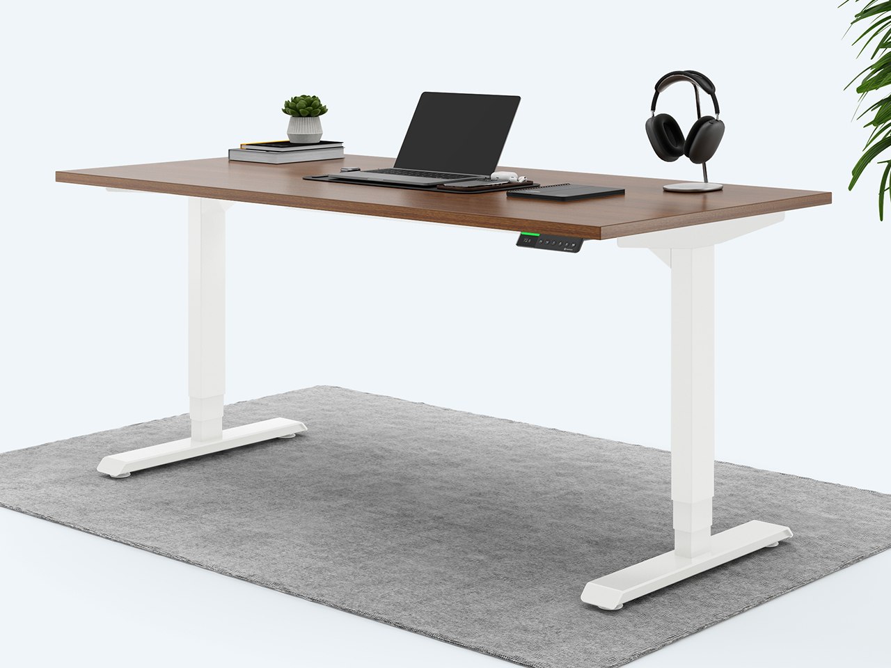 Desktopia Pro X - Elektrisch höhenverstellbarer Schreibtisch / Ergonomischer Tisch mit Memory-Funktion, 7 Jahre Garantie - (Nussbaum, 160x80 cm, Gestell Weiß) von Ergotopia