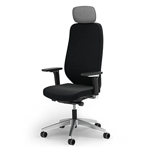 Ergotopia® MasterBack Executive ergonomischer Bürostuhl mit 3D Neigungsmechanik - Premium Schreibtischstuhl Made in Germany mit Lordosenstütze, Synchronmechanik & verstellbaren 5D Armlehnen von Ergotopia