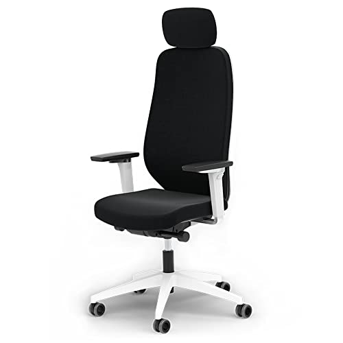 Ergotopia MasterBack Pro ergonomischer Bürostuhl [TESTSIEGER] – Schreibtischstuhl ergonomisch mit 3D-Neigungsmechanik & 5D-Armlehnen – Perfekt als Drehstuhl für Büro & Home Office von Ergotopia