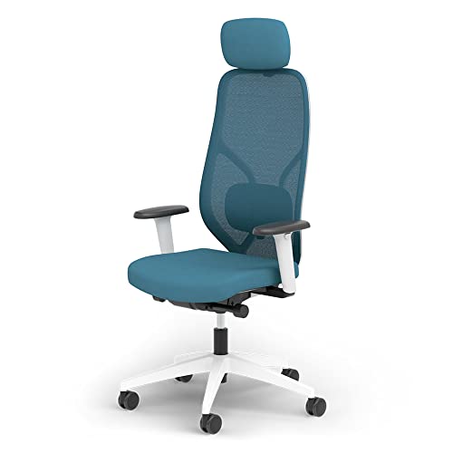Ergotopia MasterBack Style ergonomischer Bürostuhl – Schreibtischstuhl ergonomisch mit 3D-Neigungsmechanik, 3D-Armlehnen & atmungsaktivem Mesh-Rücken – Perfekt als Drehstuhl für Büro & Home Office von Ergotopia