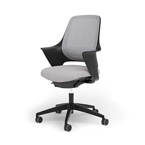 Ergotopia WellBack, Ergonomischer Bürostuhl Made in Germany, Bequemer Schreibtischstuhl mit Lordosenstütze und Synchronmechanik, für Büro und Homeoffice von Ergotopia