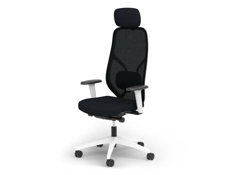 Ergotopia MasterBack Style: Mordernes Design und ergonomische High-End-Bauteile der Extraklasse von Ergotopia