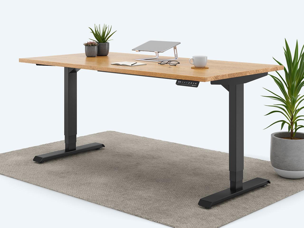 Ergotopia elektrisch höhenverstellbarer Schreibtisch / Ergonomischer Steh-Sitz Tisch mit Memory-Funktion (Eiche Echtholz, 160x80cm, Gestell Schwarz) von Ergotopia