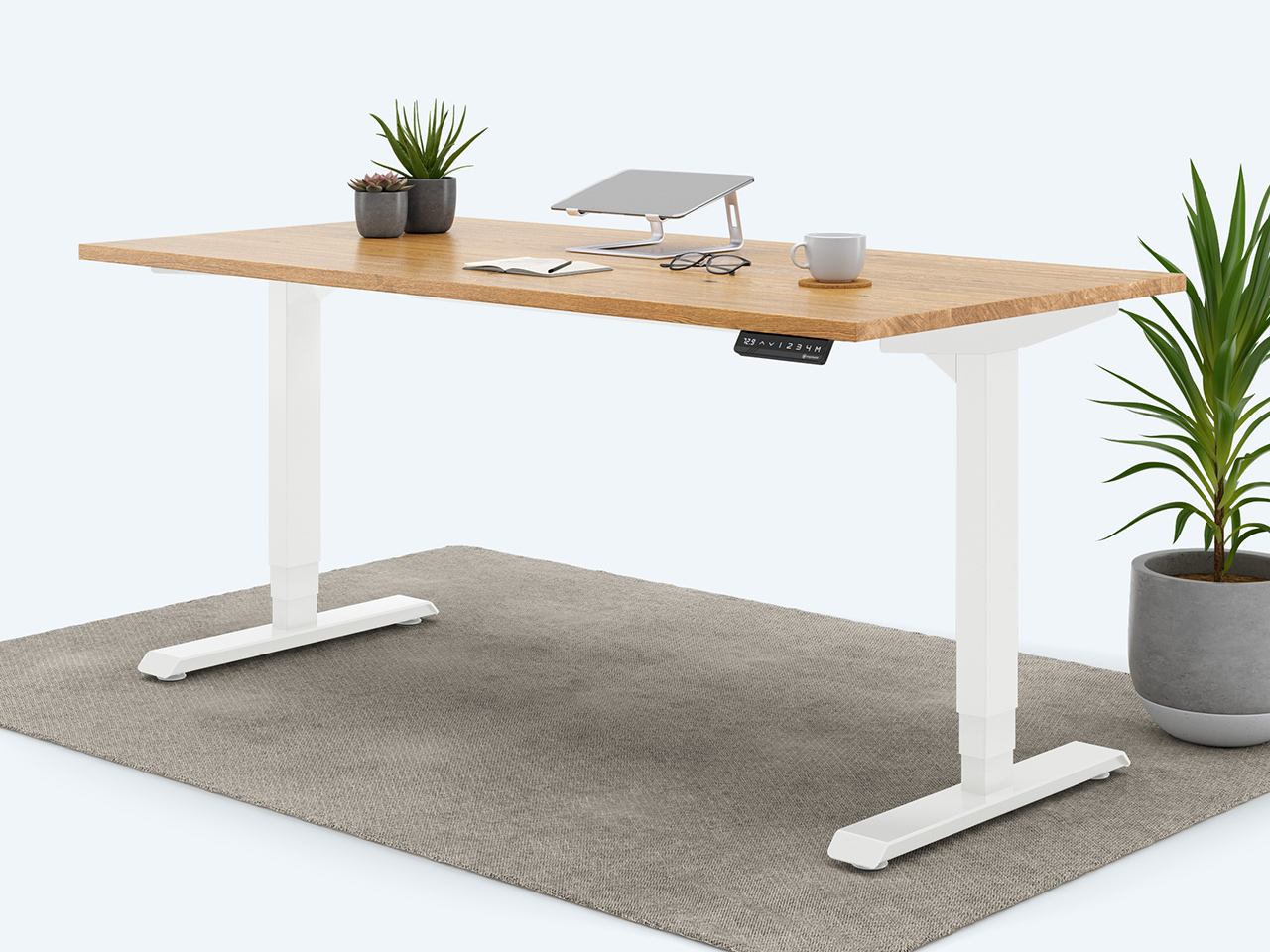 Ergotopia elektrisch höhenverstellbarer Schreibtisch / Ergonomischer Steh-Sitz Tisch mit Memory-Funktion (Eiche Echtholz, 160x80cm, Gestell Weiß) von Ergotopia