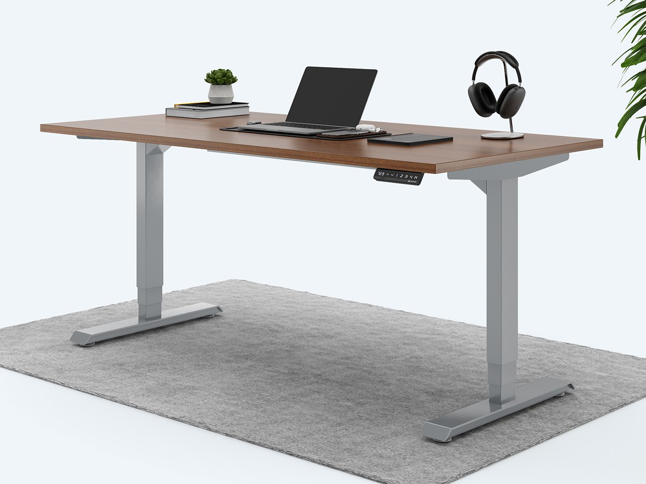 Ergotopia elektrisch höhenverstellbarer Schreibtisch / Ergonomischer Steh-Sitz Tisch mit Memory-Funktion (Nussbaum, 160x80cm, Gestell Grau) von Ergotopia