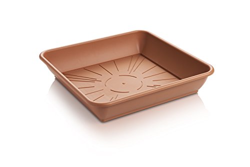 Erhard-Trading Blumentopf-Untersetzer Quattro Eckig Terracotta Quadratisch Kunststoff 42,5 cm (Gr. 4) von Erhard-Trading