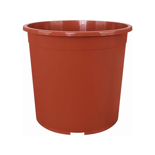 Erhard-Trading Containertopf Blumentopf Terracotta alle Größen (15 cm) von Erhard-Trading