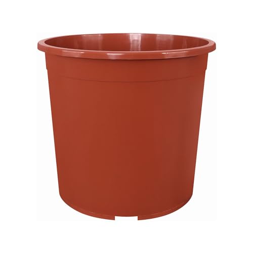 Erhard-Trading Containertopf Blumentopf Terracotta alle Größen (24 cm) von Erhard-Trading