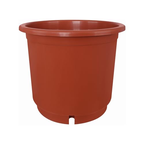 Erhard-Trading Containertopf Blumentopf Terracotta alle Größen (33 cm) von Erhard-Trading