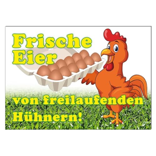 Werbeschild Frische Eier von freilaufenden Hühnern A3 (42x30 cm) von Erhard-Trading