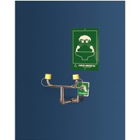 Erbstößer® Augendusche, DIN EN 15154-2 u. ANSI Z 358, Wandmontage, starr, zweistrahlig, Edelstahl von Erbstößer®