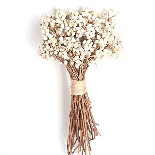 20 Teile / Satz Natürliche Baumwolle Bälle Getrocknete Blume Pflanzen Trockene Echte Weiße Frucht Bündel Party Dekorative Blumen DIY Hochzeitsdekoration von Ericetion