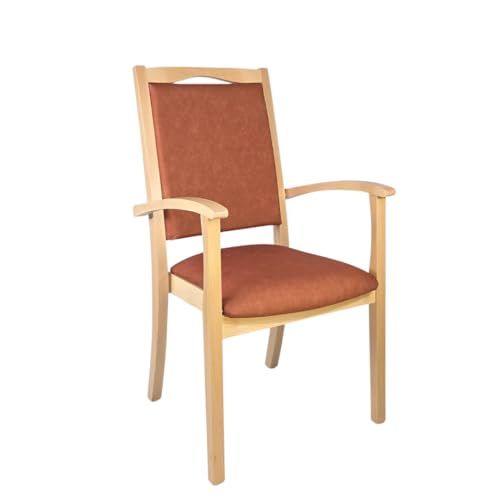Erides Seniorenstuhl Alexander Hochlehner mit Armlehnen – Pflegestuhl, Buche massiv, gepolstert, ergonomisch, fertig montiert, für Senioren, Pflege & Praxis (Profi-Clean-Stoff, Como Braun) von Erides