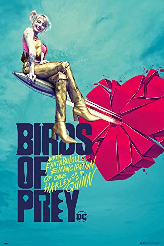 Grupo Erik Birds of Prey Poster Broken Heart - Kunstdruck - Deko Wohnzimmer oder Deko Schlafzimmer - Deko Wohnzimmer - Größe : 61 x 91 - Birds of Prey Fanartikel von Erik