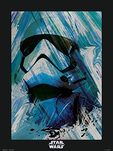 Erik Star Wars Episode IX - First Order Trooper, 30 x 40 cm, Mehrfarbig von Erik