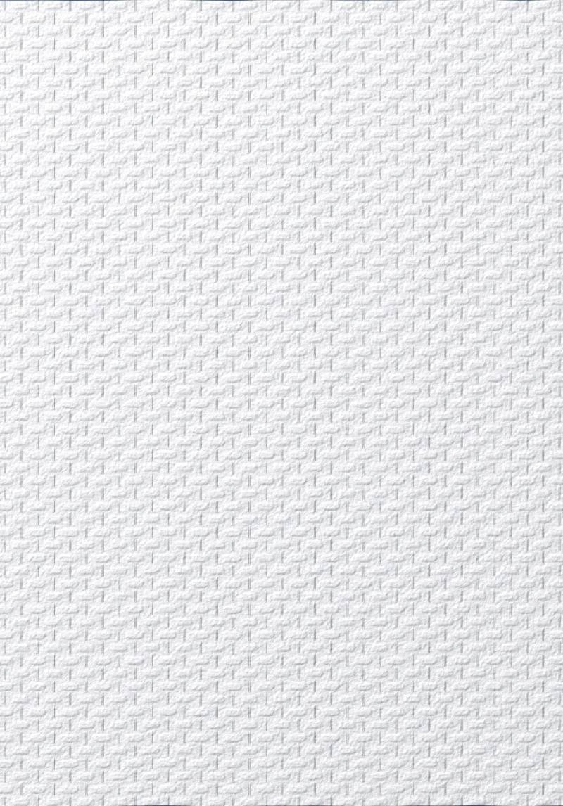 Erismann Glasfasertapete uni weiß 25 x 1 m  beige von Erismann