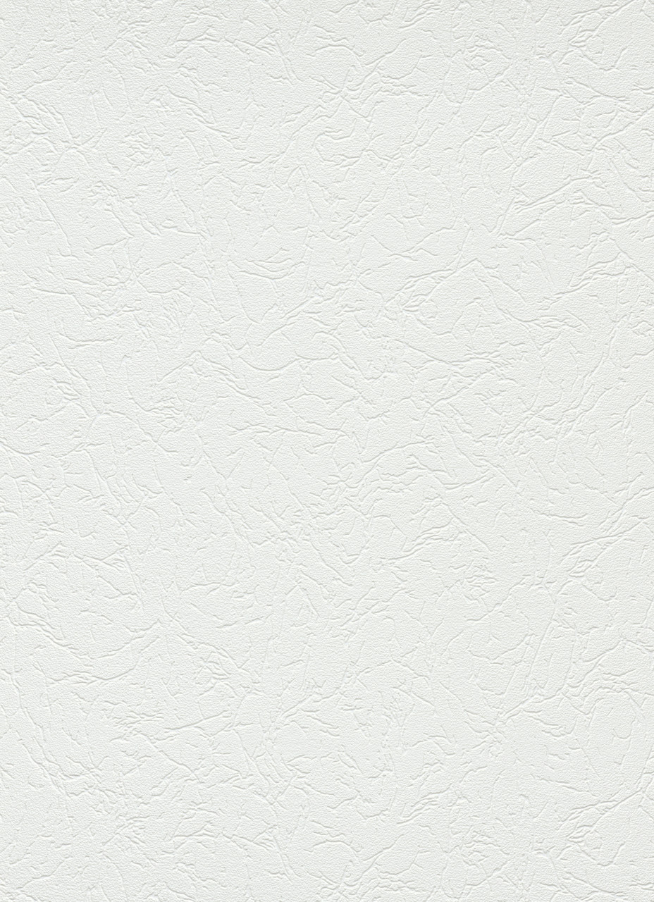 Erismann Vinyltapete Putzstruktur weiß 15 x 0,53 m  weiß, grün von Erismann