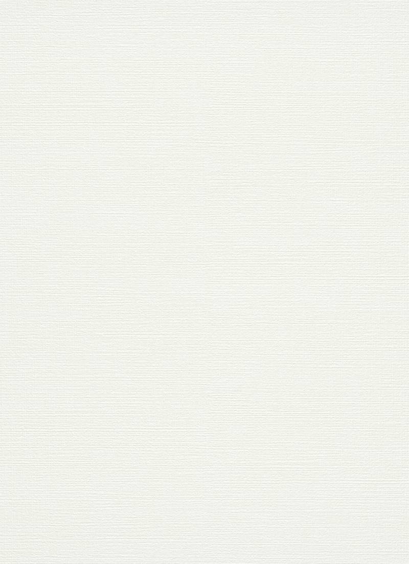 Erismann Vliestapete 13289-10 uni weiß 10,05 x 0,53 m von Erismann