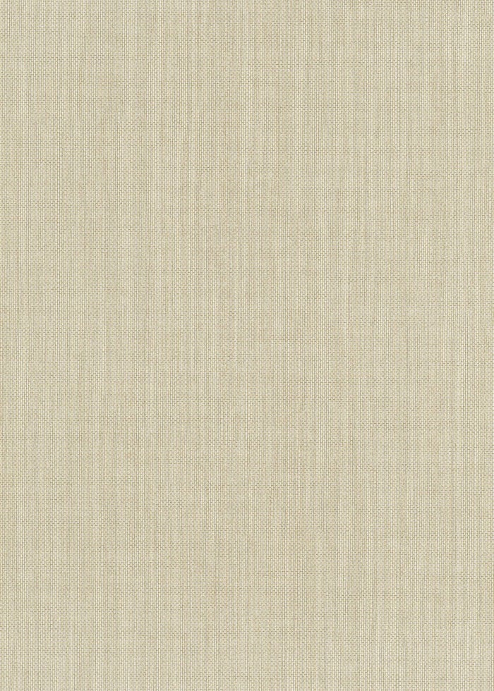 Erismann Vliestapete 6309-02 Paradiso 2 uni beige 10,05 x 0,53 m von Erismann