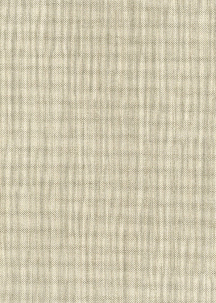Erismann Vliestapete 6309-02 Paradiso 2 uni beige 10,05 x 0,53 m von Erismann