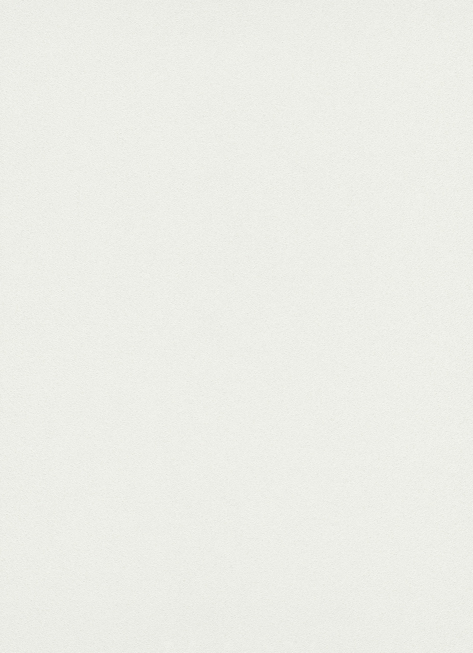 Erismann Vliestapete Uni weiß 10,05 x 0,53 m von Erismann